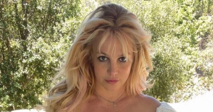 Britney Spears agradece al Free Britney movement