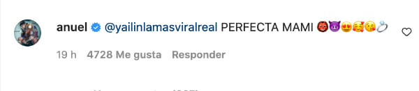 "Pefecta Mai" el comentario de Anuel AA a una foto de su pareja Yailin La Más Viral
